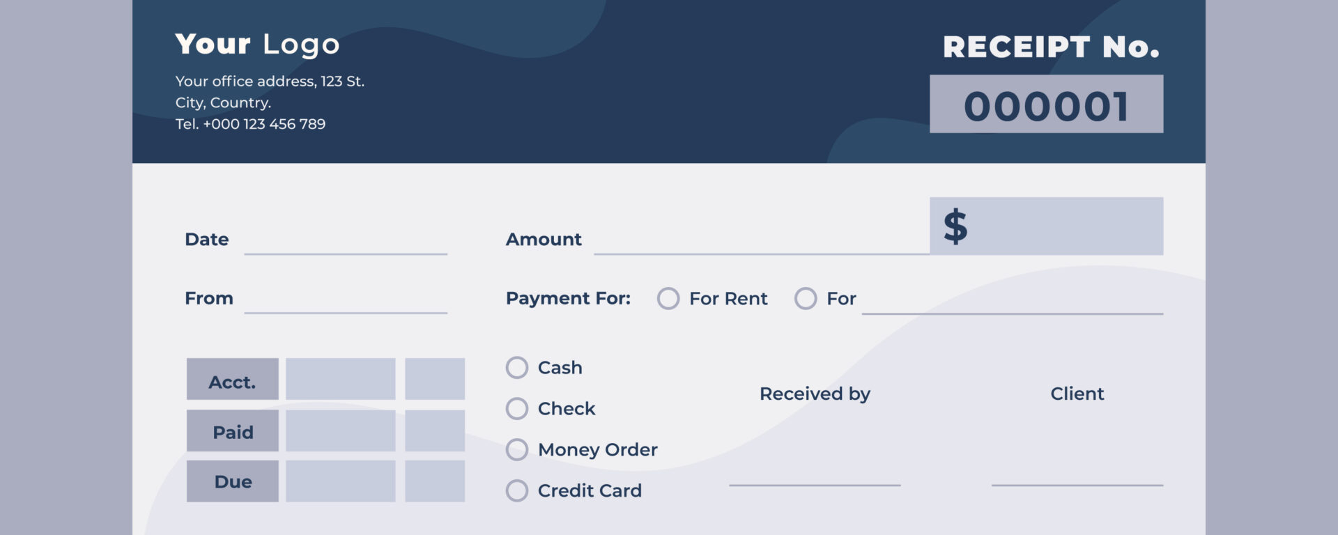 Aurora Illinois Pay Stub Template