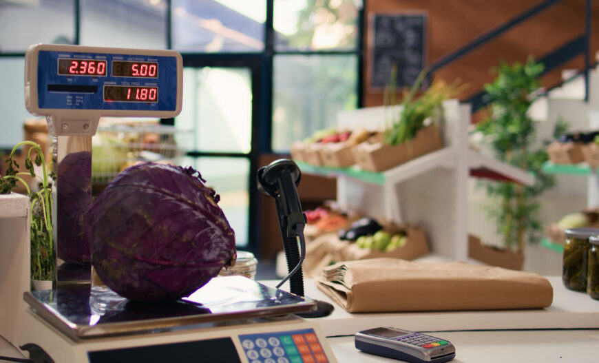 General Mills Employee Pay Stub Generator