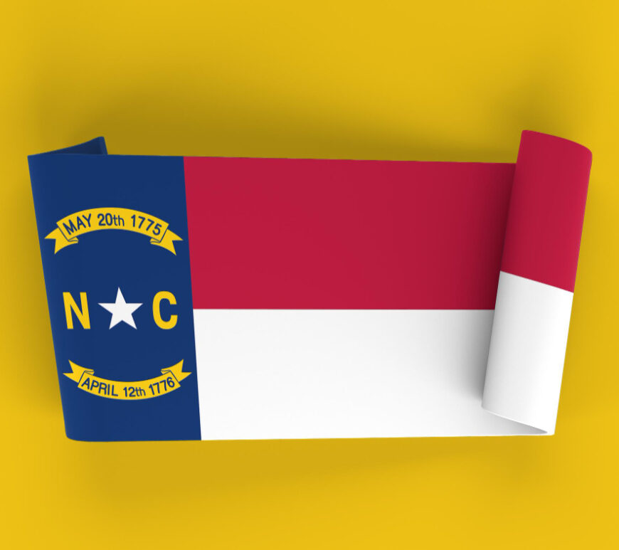 North Carolina pay stub