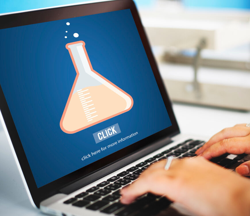 Salesforce Paystub for Employees