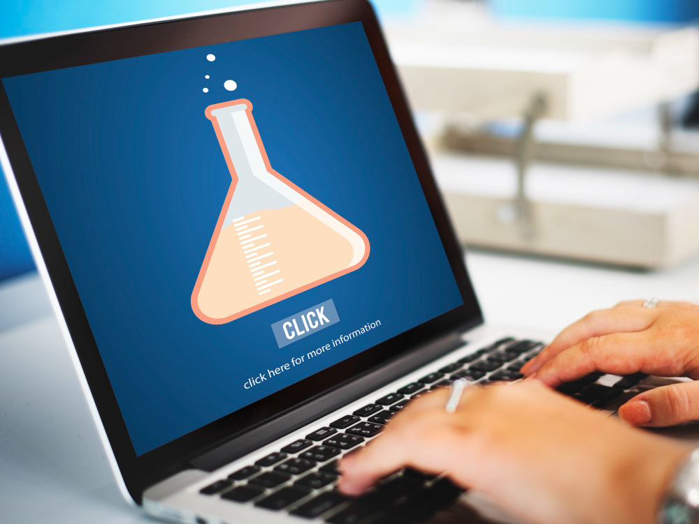 Salesforce Paystub for Employees